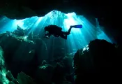 pro_dive_international_rca_digital_article_images_x.png.webp
