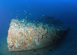 .MNMS-Monitor-NOAA-nopin.jpg.webp
