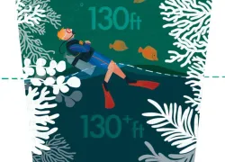 AskAnnieDeepDiving.jpg.webp