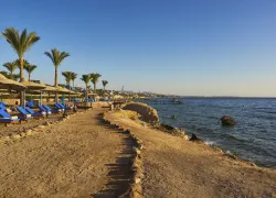 Beach-.jpg.webp