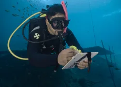 BestScubaRegulators.jpg.webp