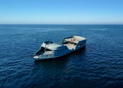 Black Pearl A.jpg.webp