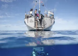 Blackbeards-Sea-Explorer-Diver--Brandi-Mueller.jpg.webp
