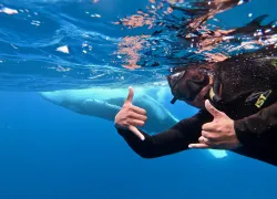 HumpbackSelfie_Cristian Moreno   .jpg.webp