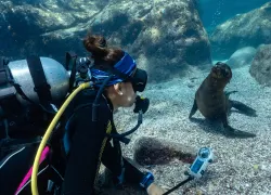 Paterakis_LaPaz_FourthElement_LosIslotes_DiveGurus--small.jpg.webp