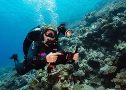 Paterakis_RedSea_Sealife_Ultra_.jpg.webp