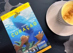 Reefsmartguide_coffee.jpg.webp
