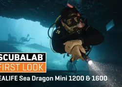 SeaDragon SeaLife Mini.png.webp