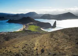 Steve-Jones-Galapagos-C--Edit.jpg.webp