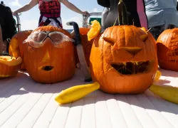 TDuong - Pumpkin-.jpg.webp