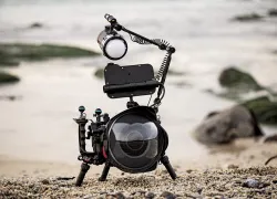 ThomasAnderson_Tidepool_Split_Gear_edit.jpg.webp