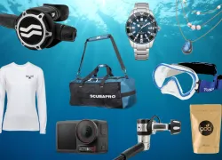Thumbnail Homepage   .jpg.webp