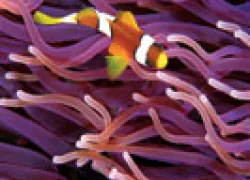 april_images_th.jpg.webp