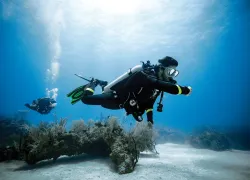 ask_dan_diver_checking_computer_spd_teaser.jpg.webp