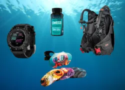 best dive gear august .png.webp