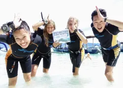citessign_blulemarlindivegilitrawangan_indonesia_feb.jpg.webp