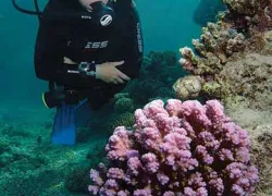 compact-cameras-tips.jpg.webp