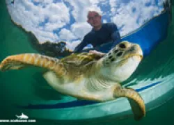 conservation-scubazoo-thumb.jpg.webp