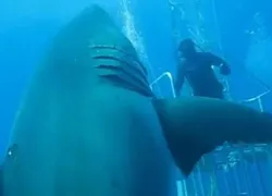 deep_blue.jpg.webp