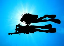dive watch maintenance
