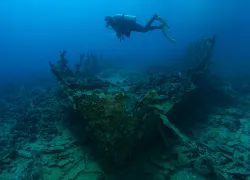 Diver swims over an old shipwreck.