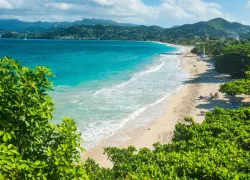 divinggrenada_Robert Harding Video.jpg.webp