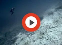 freediving_oceangravity_thumb.jpg.webp