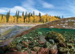 Middle Fork Flathead River Glacier National Park