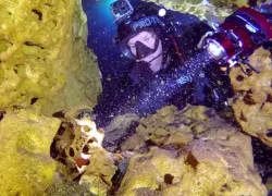 gopro video series cenote exploration