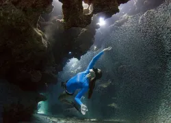 photo contest sport diver