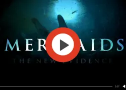 mermaids.jpg.webp