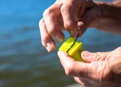 o ring replacement