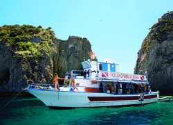 ponza_v.jpg.webp