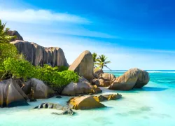 proslgn_shutterstock_.jpg.webp