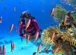 redsea_edit.jpg.webp