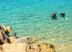 diving regulators