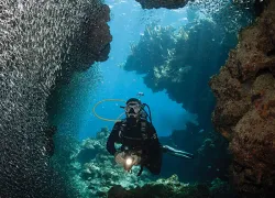 Roatan: Blue Channel Dive Site