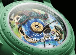 sc__indian_ocean_SOI_close_up_back_edit.jpg.webp