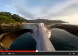 screen-shot----at-..jpg.webp