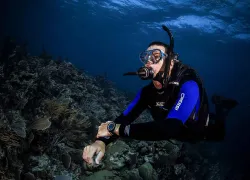 scuba diving warm water gear
