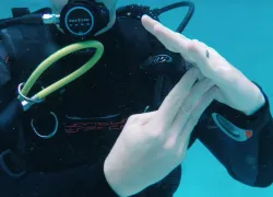 scuba diving hand signals
