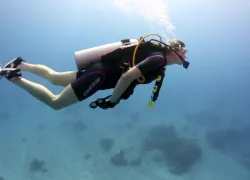 scubalabtv_cressitropical.jpg.webp