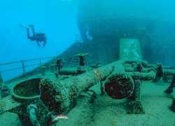 shutterstock__edit.jpg.webp