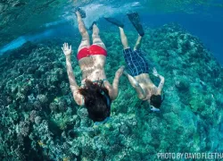 snorkeling-hawaii.jpg.webp