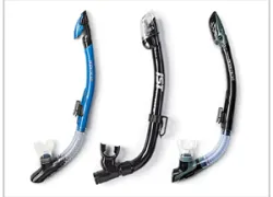 snorkels__best_gear_guide.jpg.webp