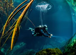 How to get perfect buoyancy