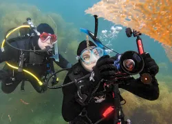 spd_divelife_padi_underwater_photography.jpg.webp