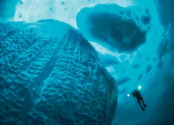 scuba diving Greenland icebergs