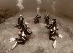 Tobias Friedrich below surface