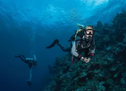 Expert buoyancy control